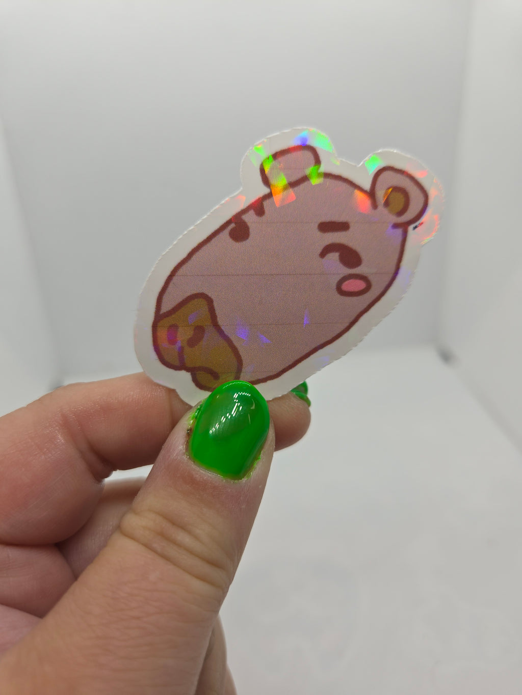 Saltybara Sticker - Water Resistant Holographic