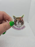 Certified Idiot Cat Sticker