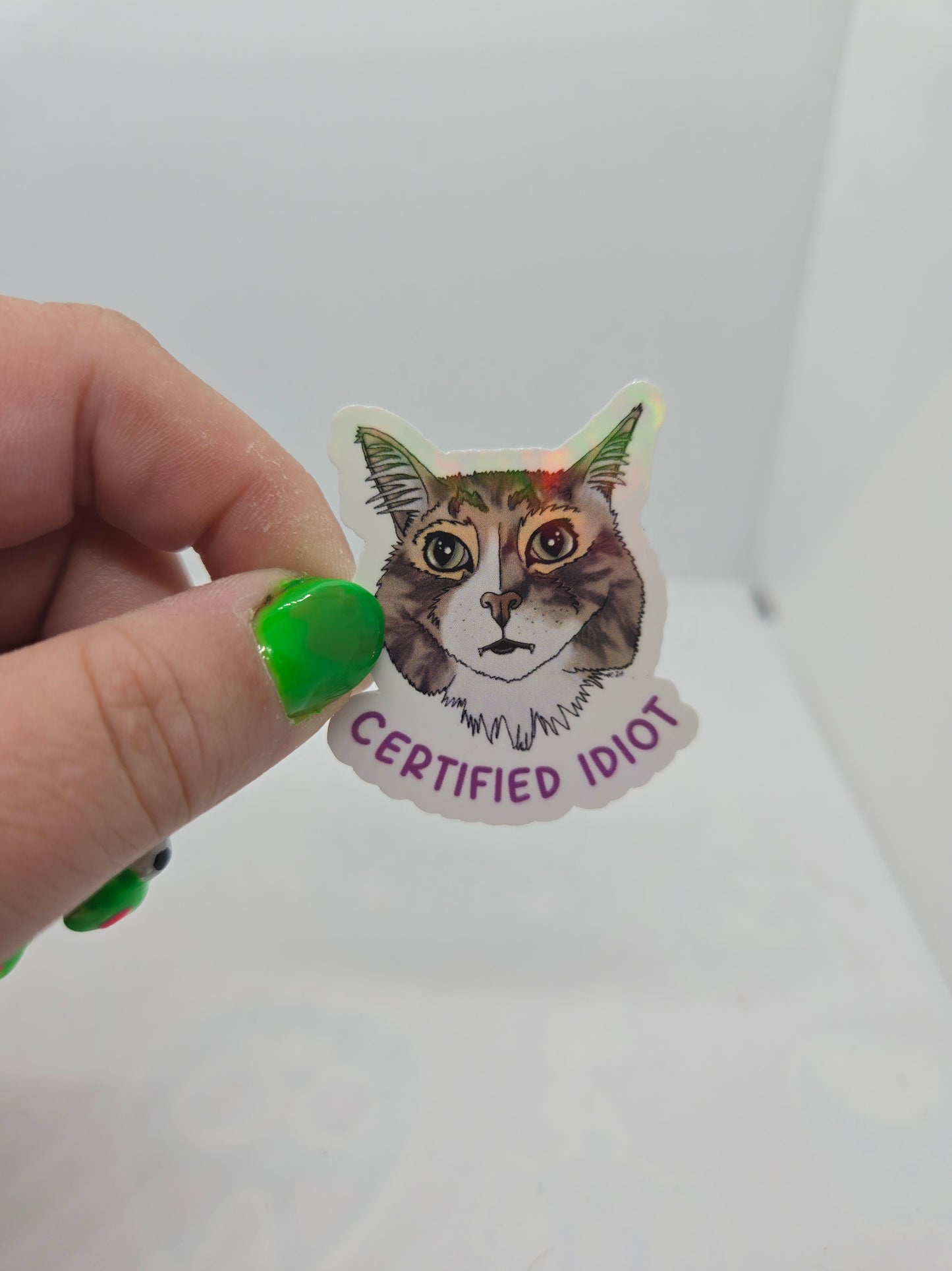 Certified Idiot Cat Sticker