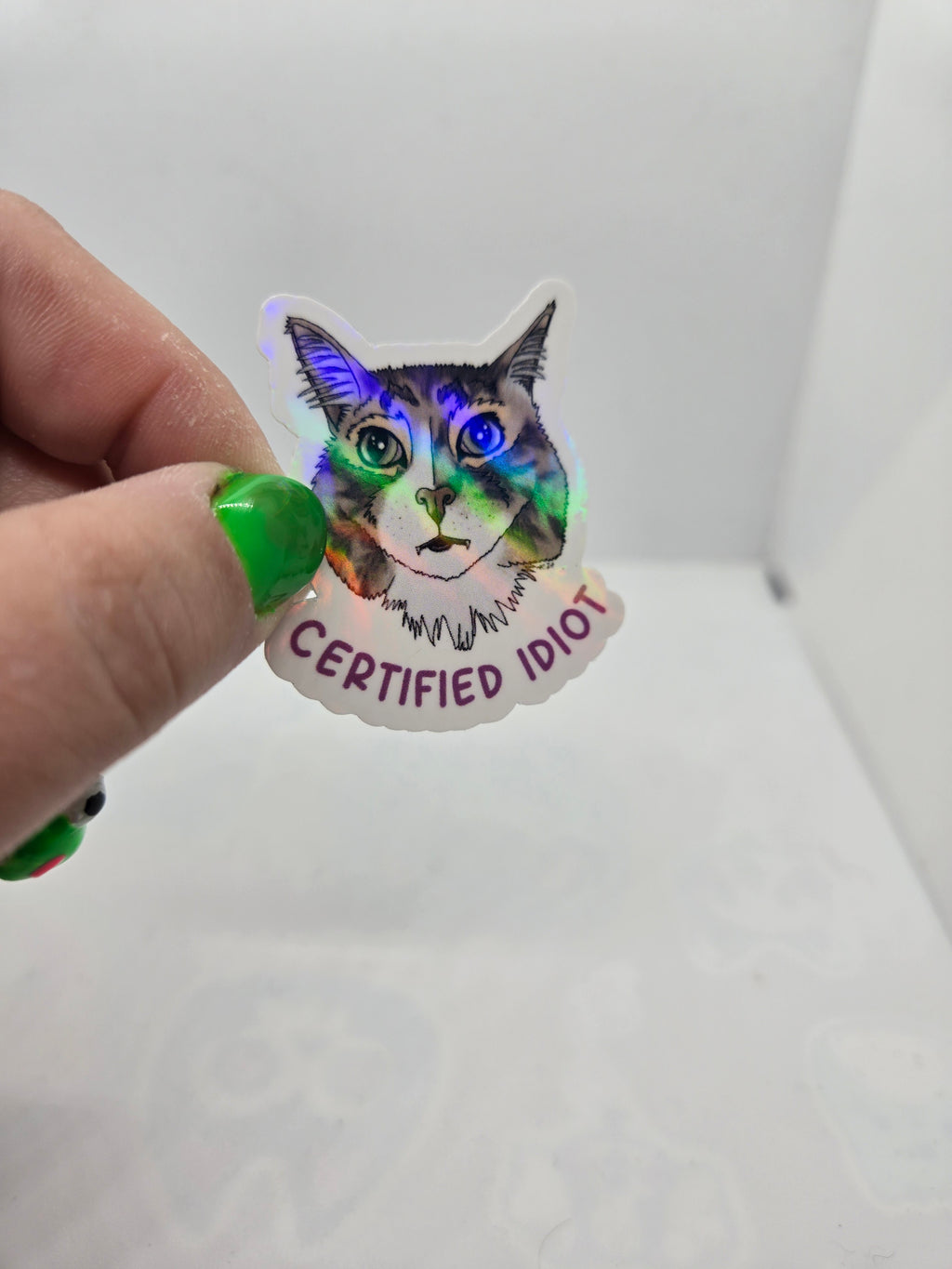Certified Idiot Cat Sticker