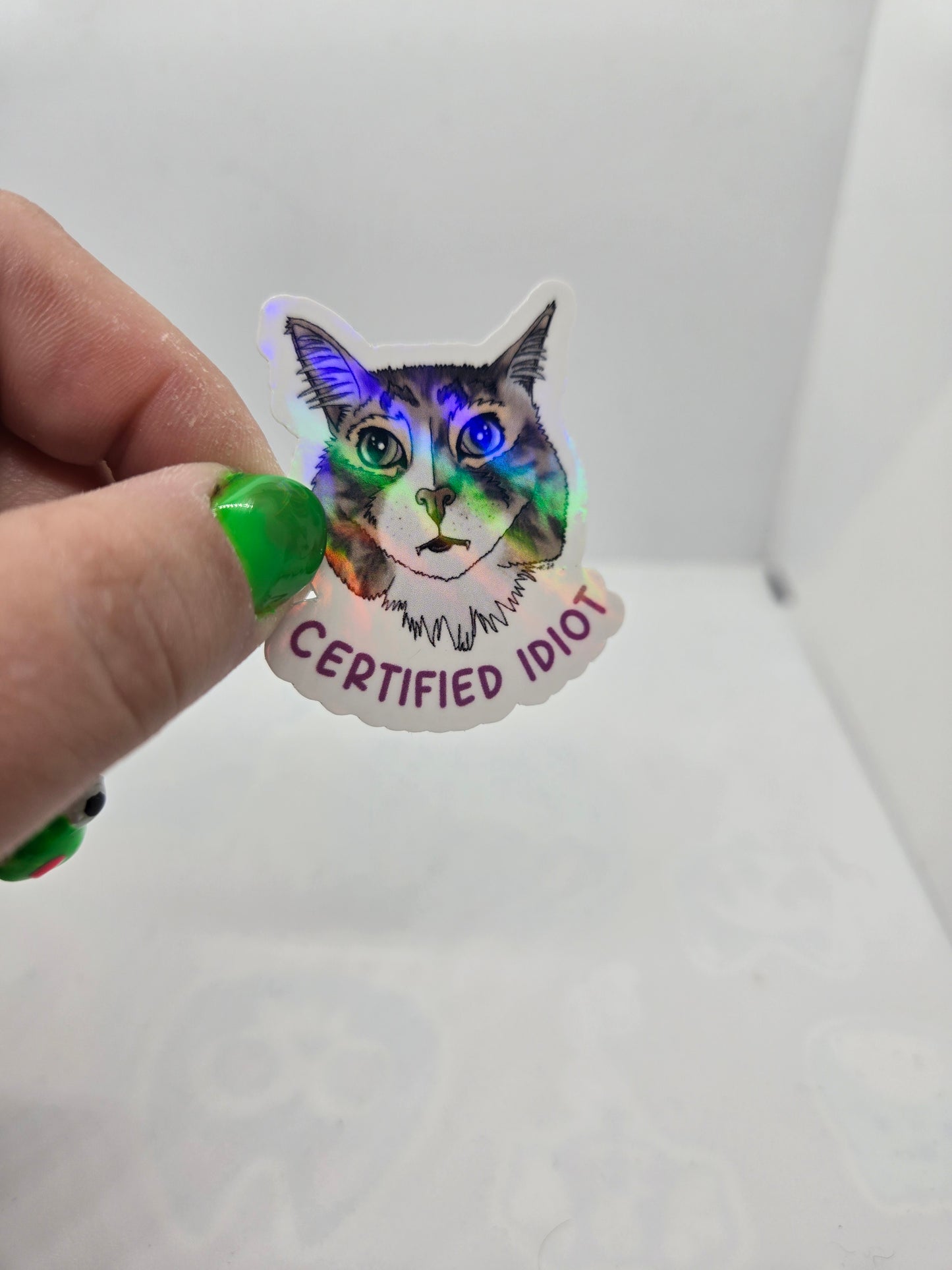 Certified Idiot Cat Sticker
