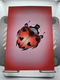 5 x 7 Print - Ladybug