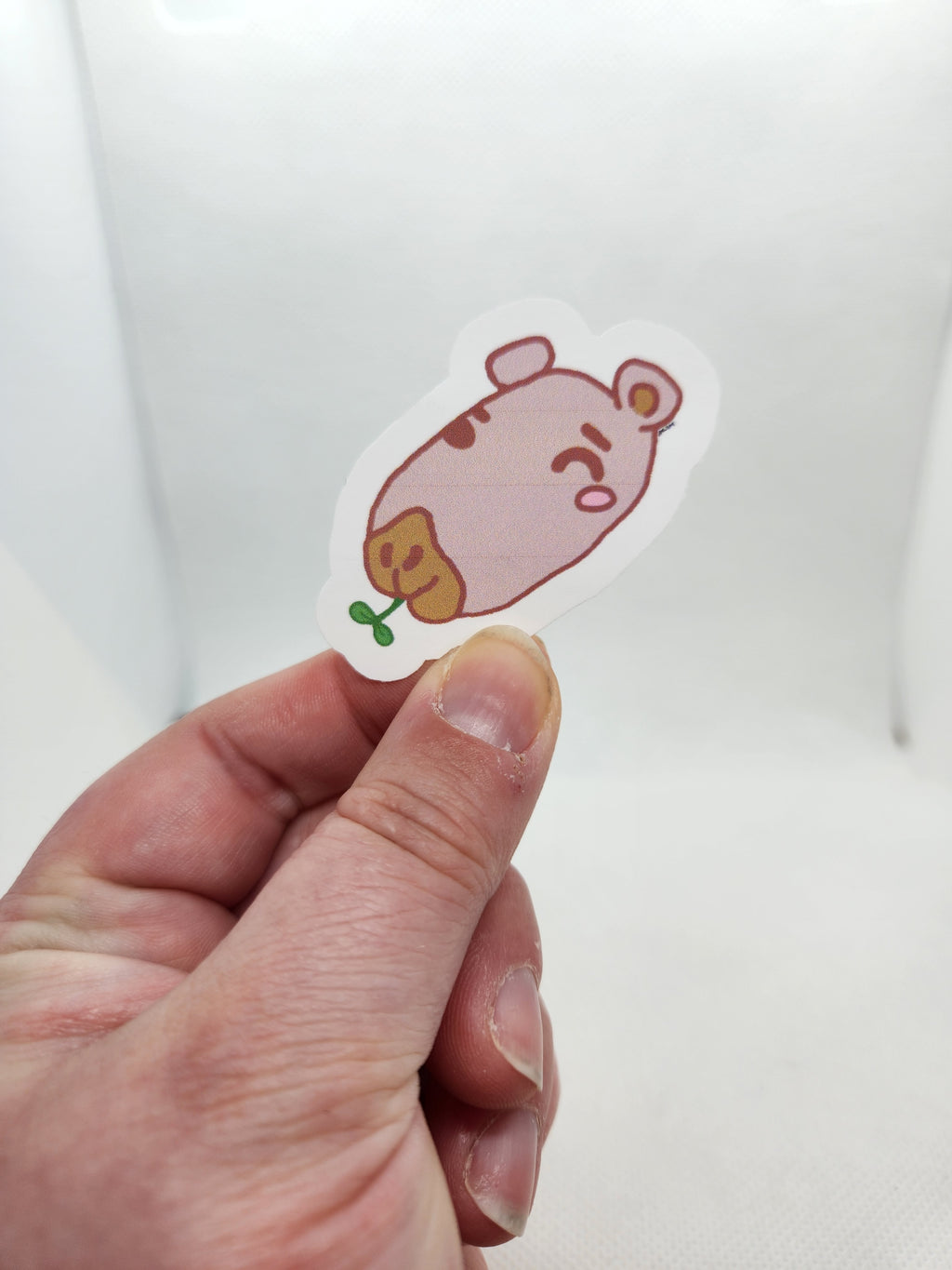 Winkybara Sticker