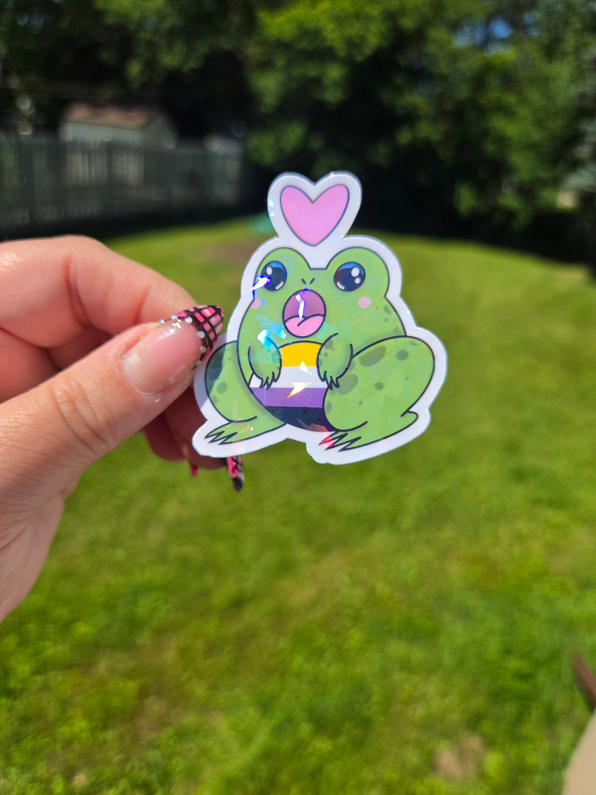 Gender and Sexuality Flag Frog Stickers