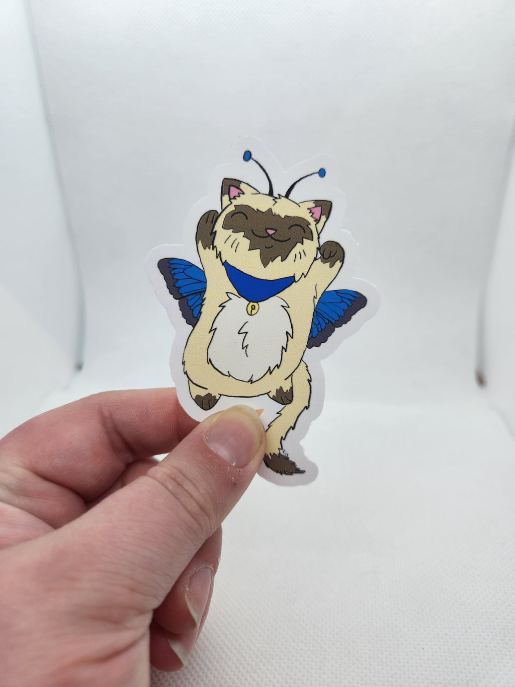Katzenfliege Sticker