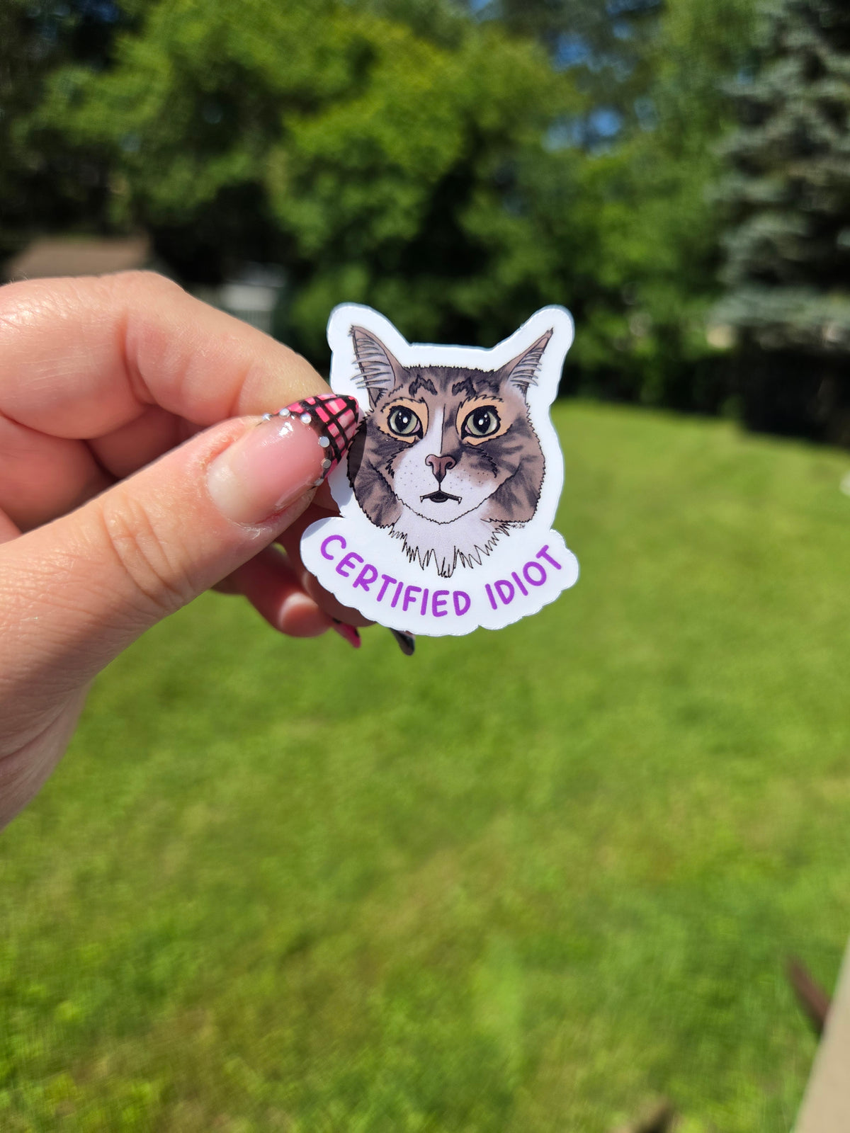 Certified Idiot Cat Sticker