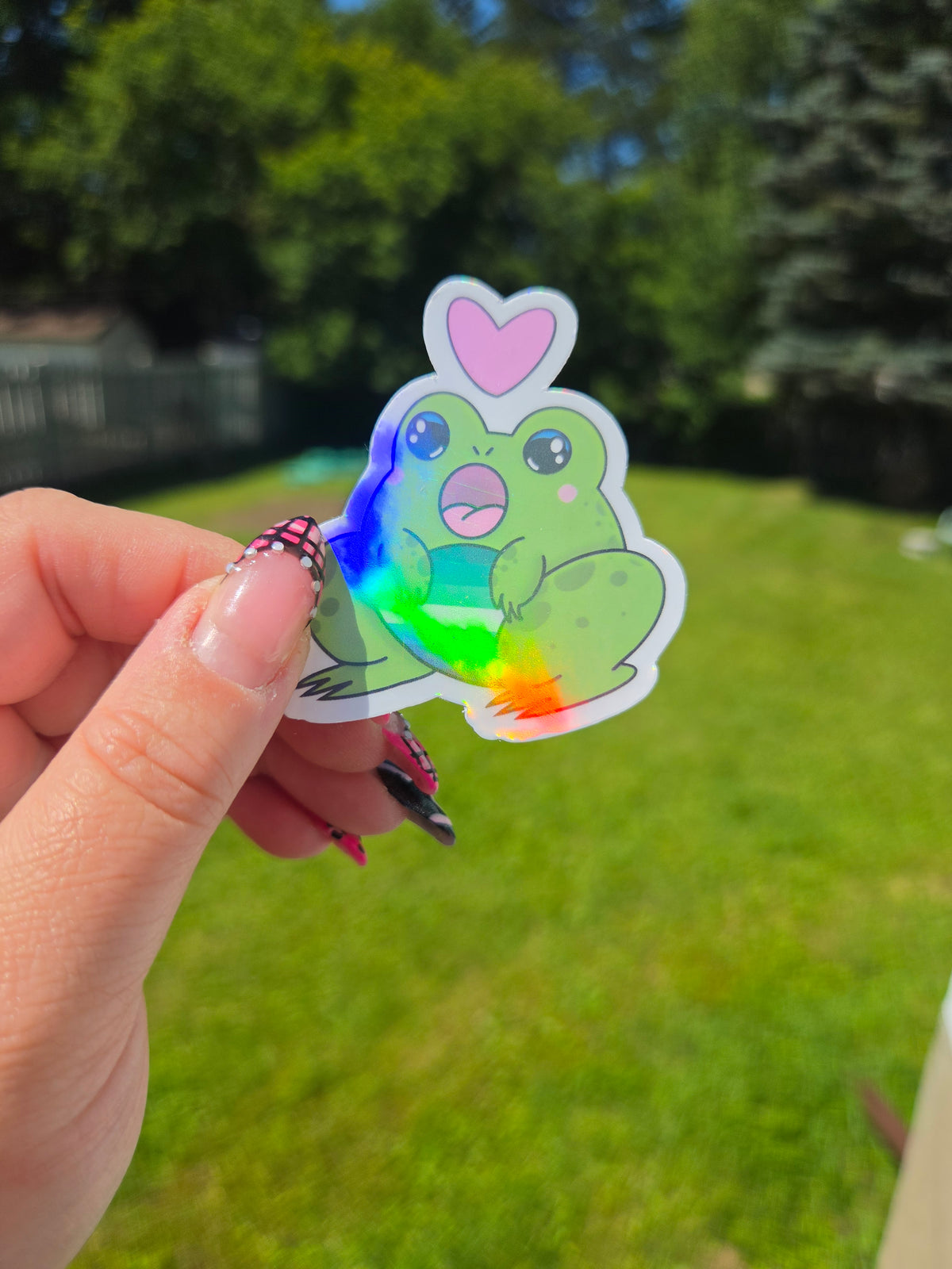 Gender and Sexuality Flag Frog Stickers