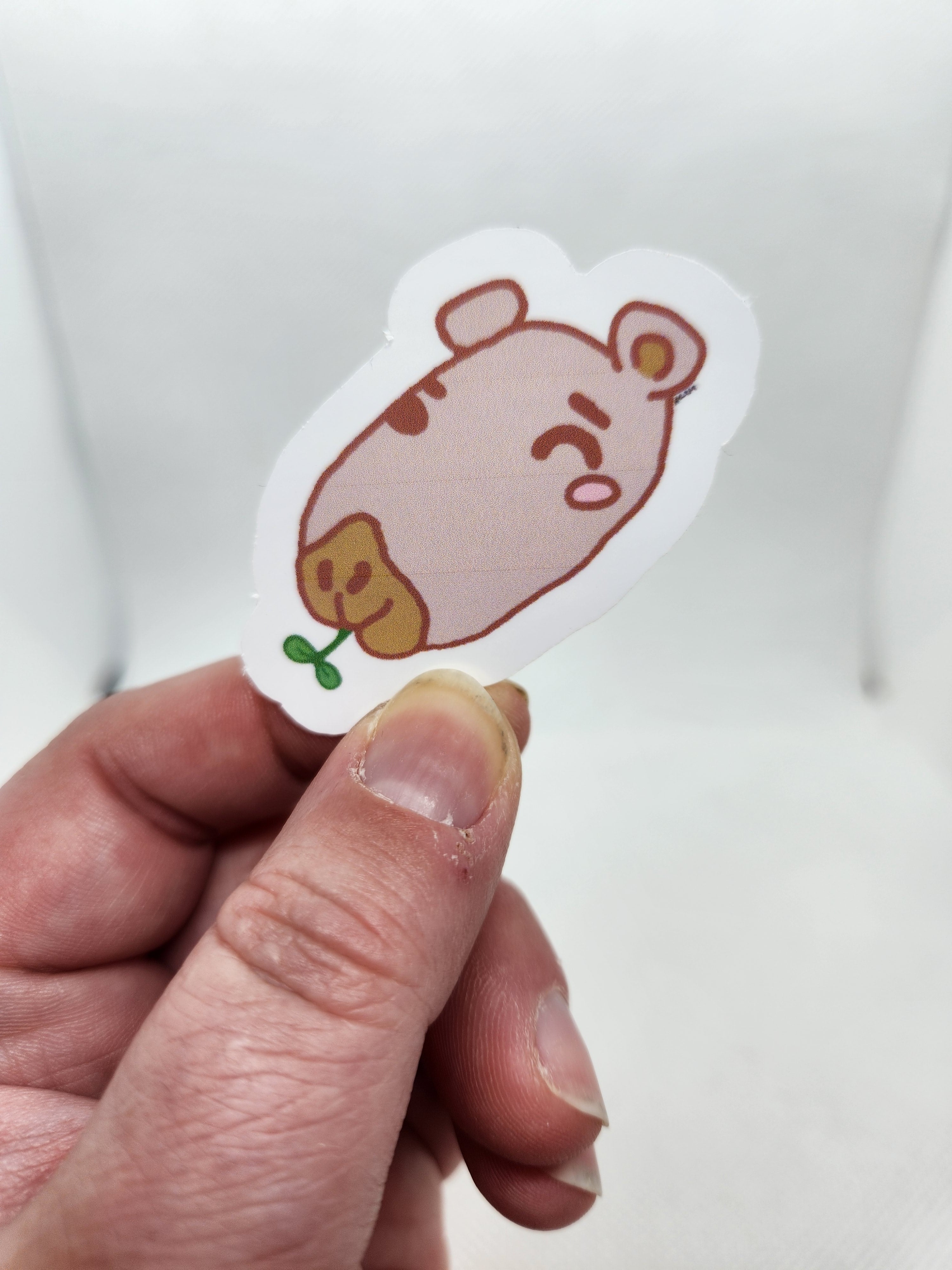 Winkybara Sticker